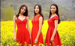 班杰明拍的小片段有哪些